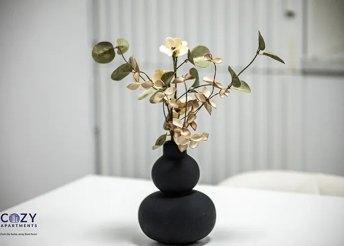 Cozy Qualis Apartments At Coresi Mall Brasov * Braşov